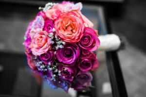 Fotoplanet.dk 7321 300x200